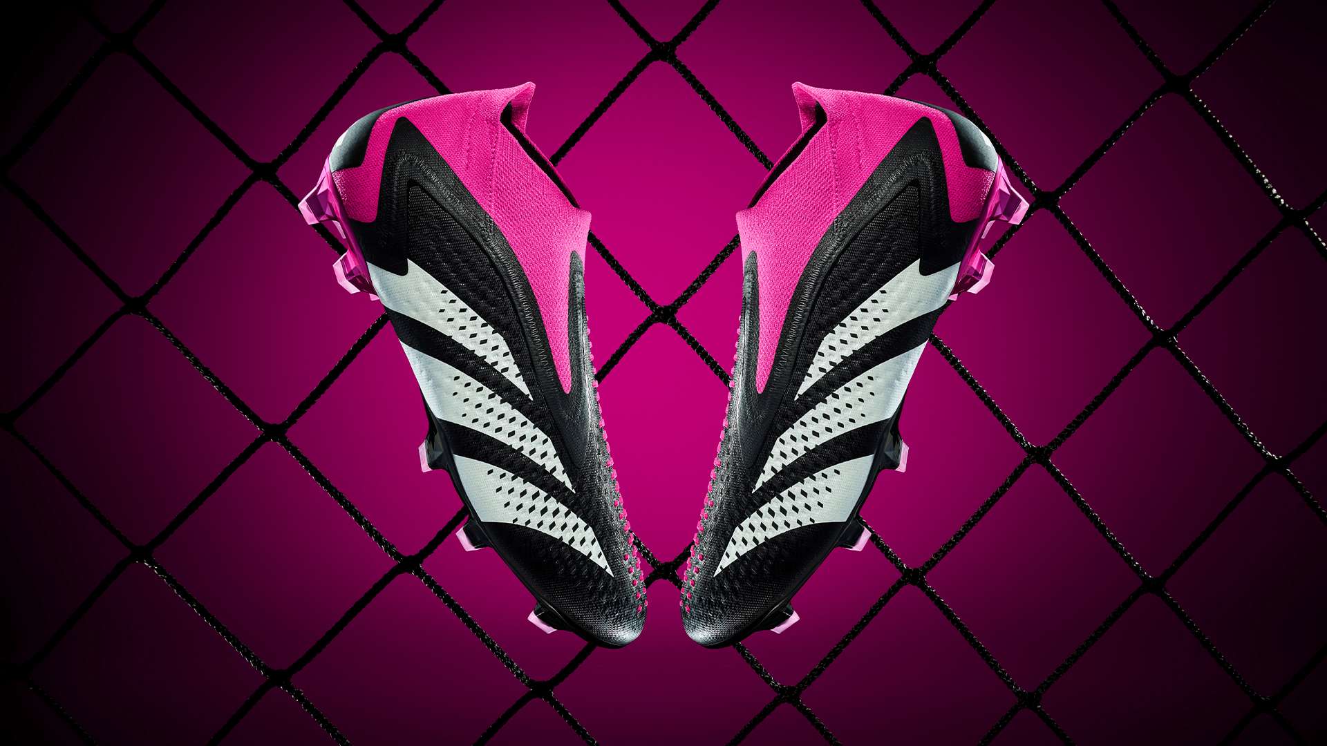 那不勒斯省 那不勒斯省